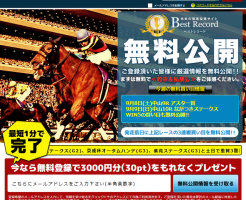 ベストレコード(BestRecord)