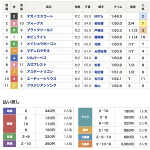 【レース結果】2021年10月10日(日)阪神5R