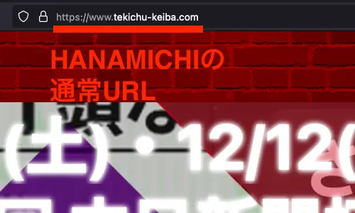 HANAMICHIの通常URL画像
