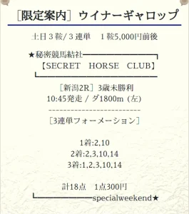 シークレットホースクラブ 有料予想(2022年8月28日)