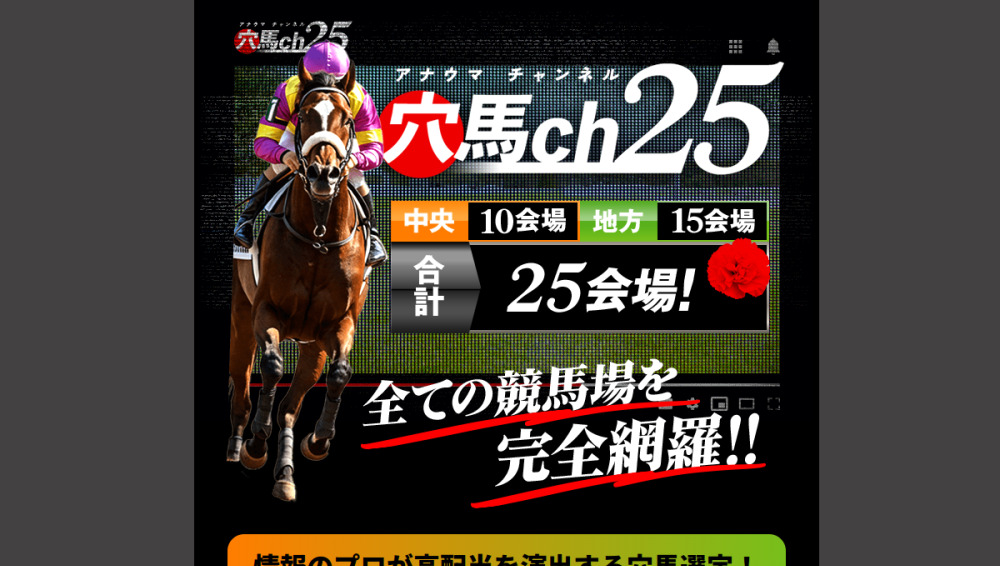 穴馬ch25の口コミは本物？“穴馬”看板と実測回収率32%【口コミ買取中】